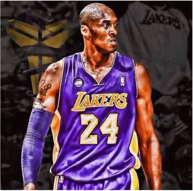 不可忽视的 不可忽视的