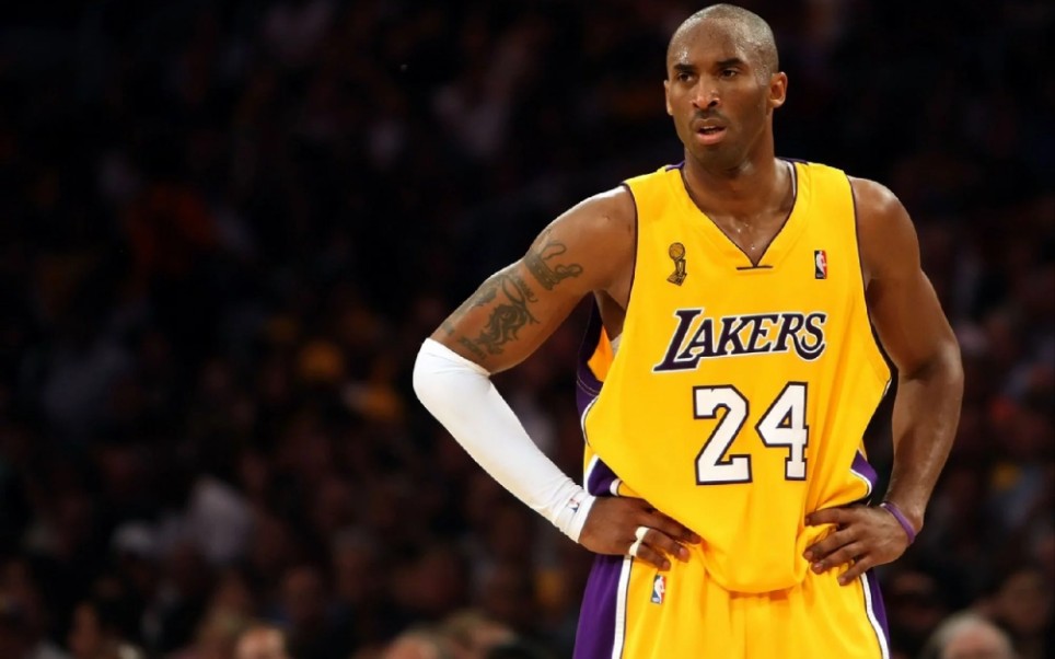 家的热情 家的热情